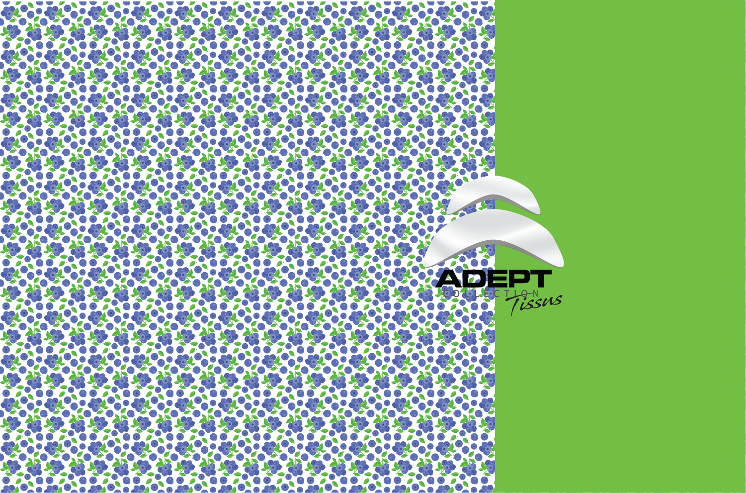 Duo-6_303_Bleuet Vert_SITE Duo-6_303_Bleuet Vert_SITE