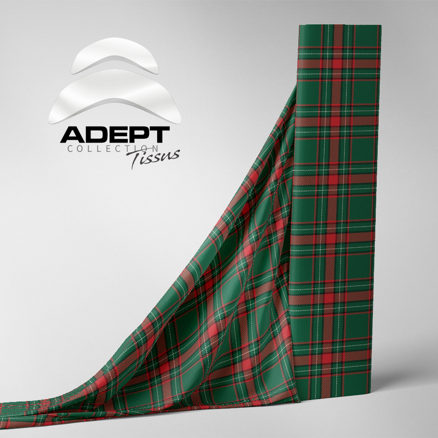 456_Carrelé Vert Rouge