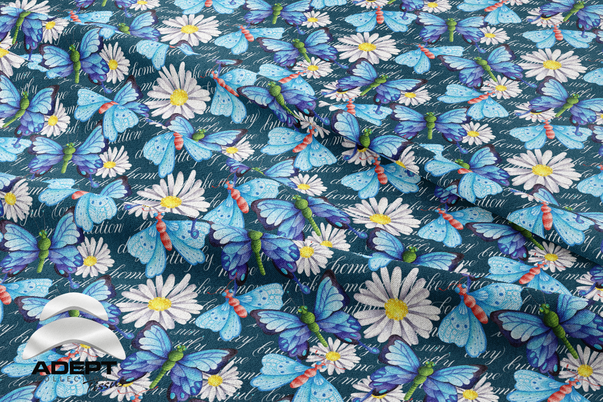 526_Papillon Marguerite Bleu Blanc_2 526_Papillon Marguerite Bleu Blanc_2